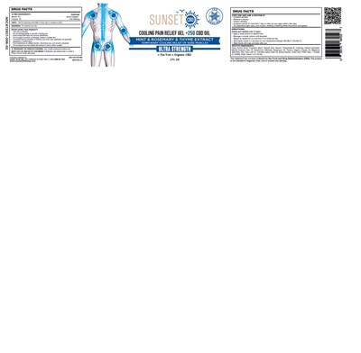 Sunset Pain Relief Gel 2 (Sunset   Cooling Pain Relief Gel 2oz)